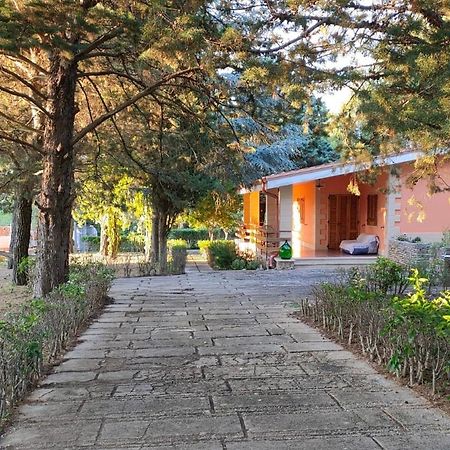 Nature, Memories And Garden Shower At Casa Del Castello Castel Del Monte  Εξωτερικό φωτογραφία