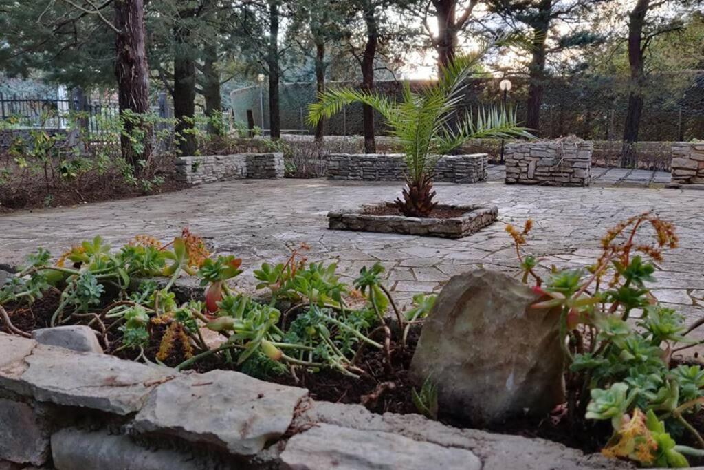 Nature, Memories And Garden Shower At Casa Del Castello Castel Del Monte  Εξωτερικό φωτογραφία