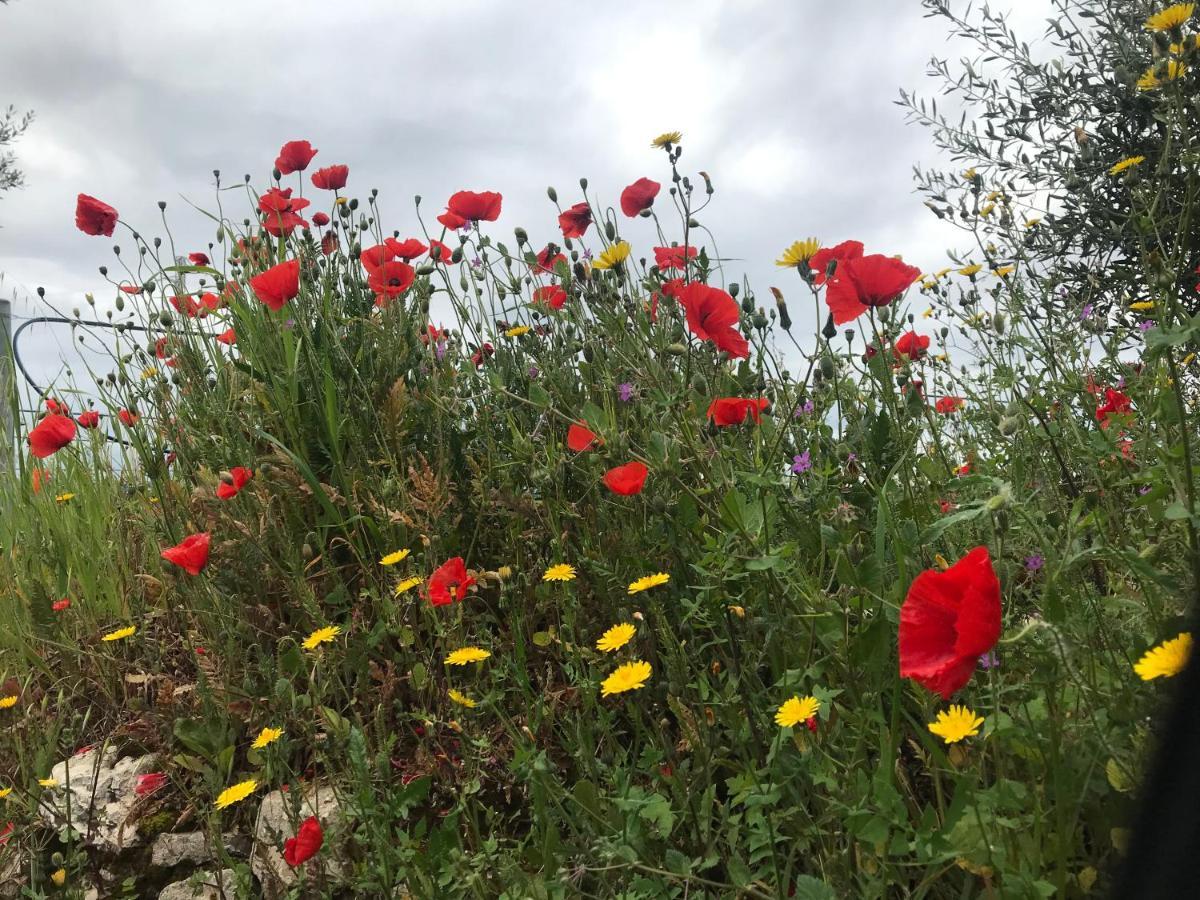 Nature, Memories And Garden Shower At Casa Del Castello Castel Del Monte  Εξωτερικό φωτογραφία